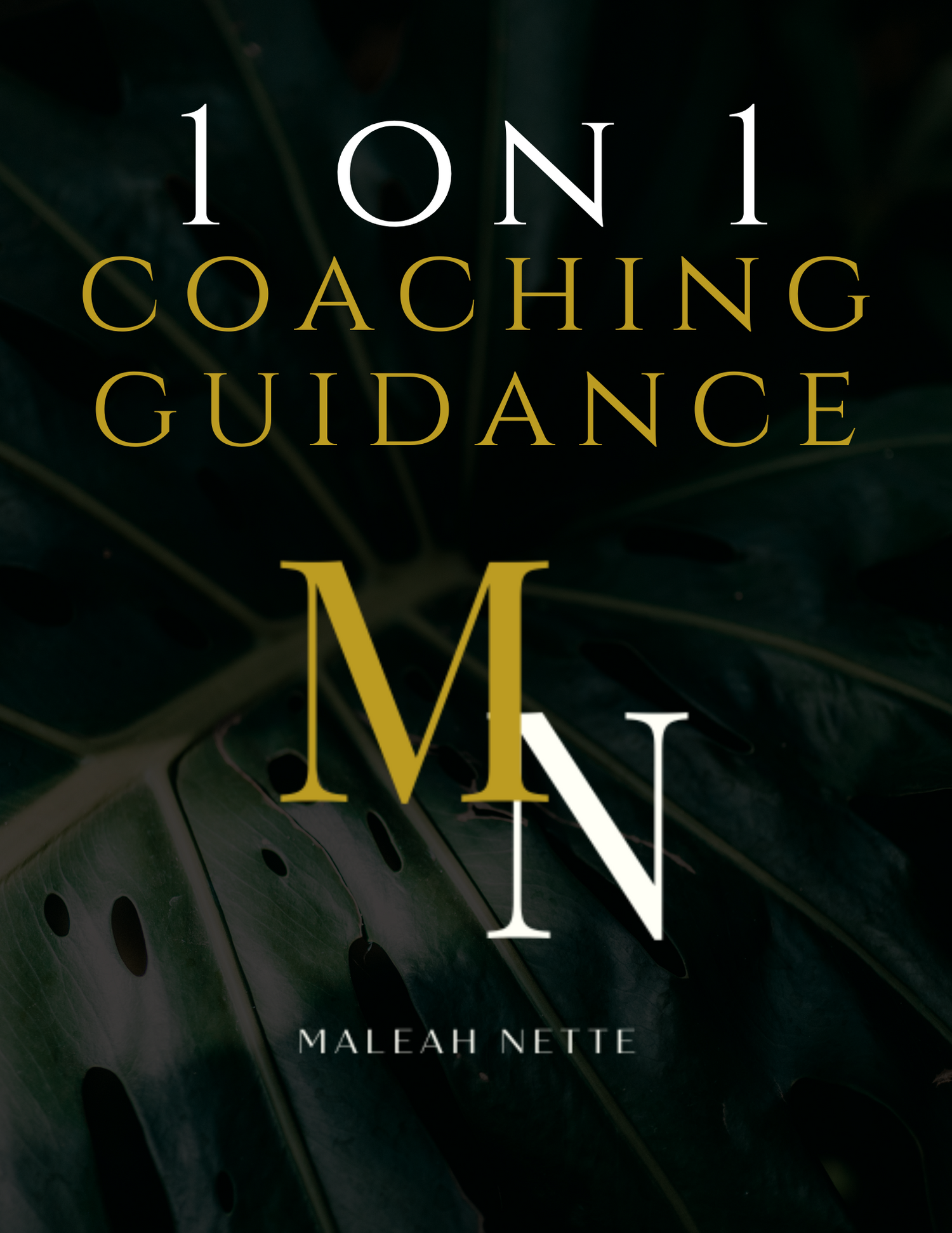 1-on-1 Coaching & Guidance